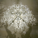 Illustration for article titled Chandelier casts a fantasy forest of shadows against the walls